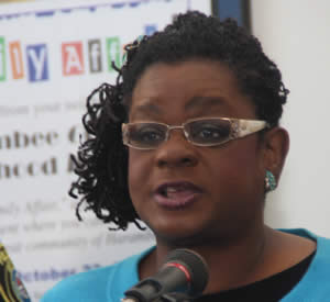 Gwen Moore introduces RISE Act